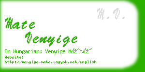 mate venyige business card